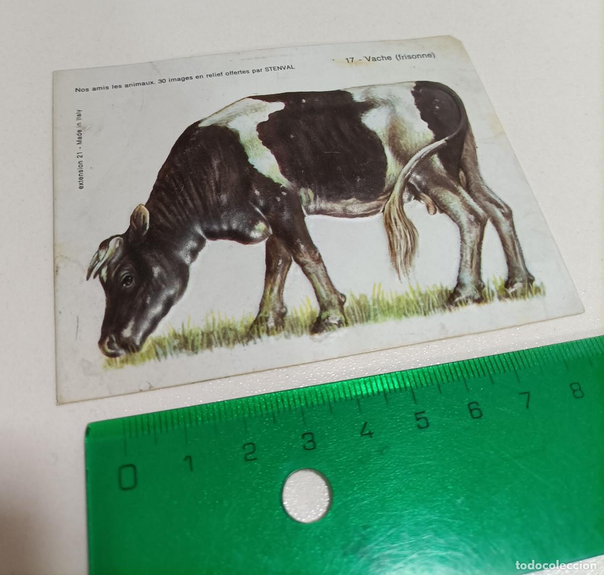Coleccionismo: animal relieve stenval promocional publicitario antiguo francia animal animales vaca animal