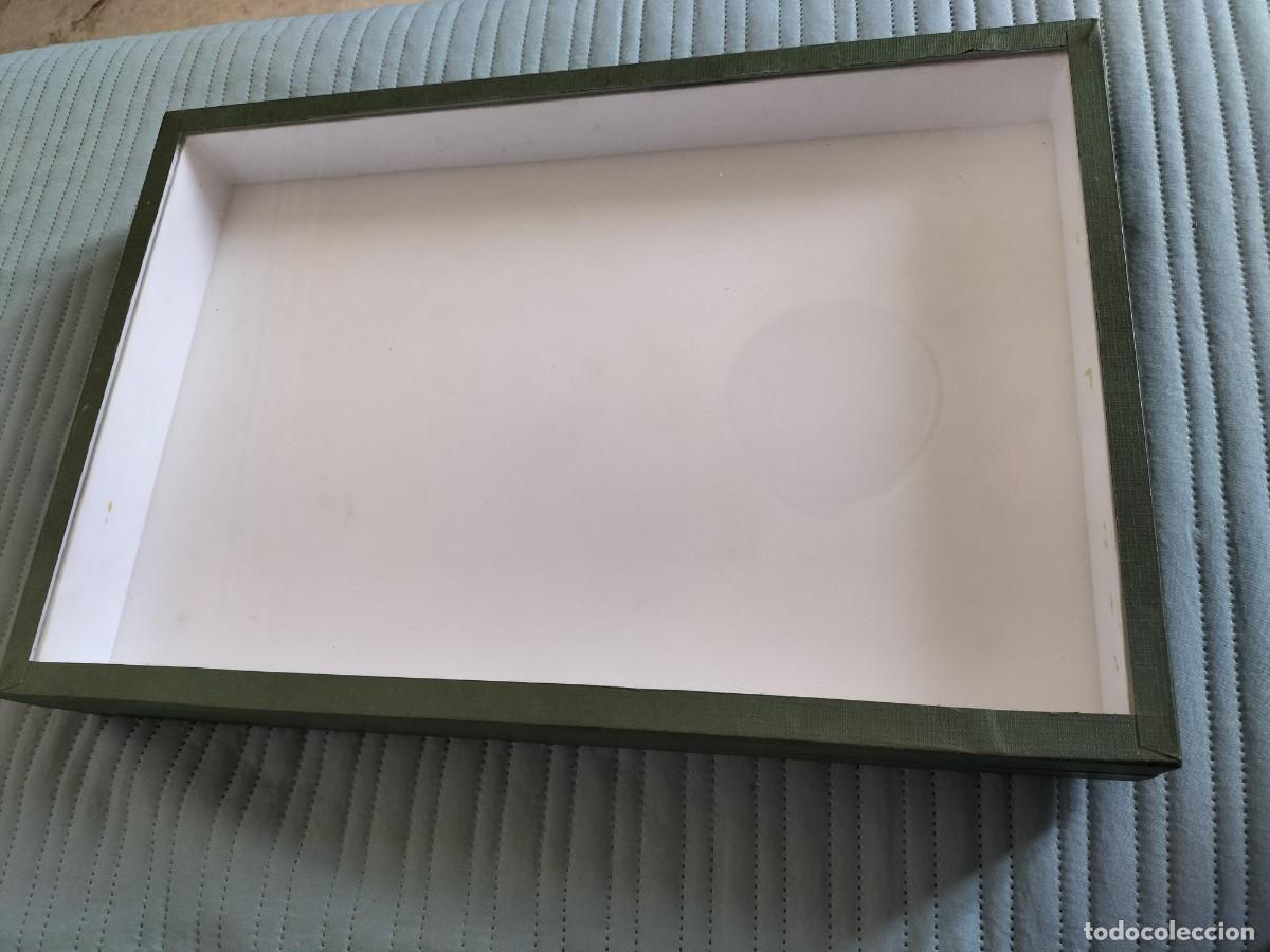 Coleccionismo: CAJA ENTOMOLOGICA VERDE CRISTAL Y FONDO EMALENE, 39x26x5,5 cm