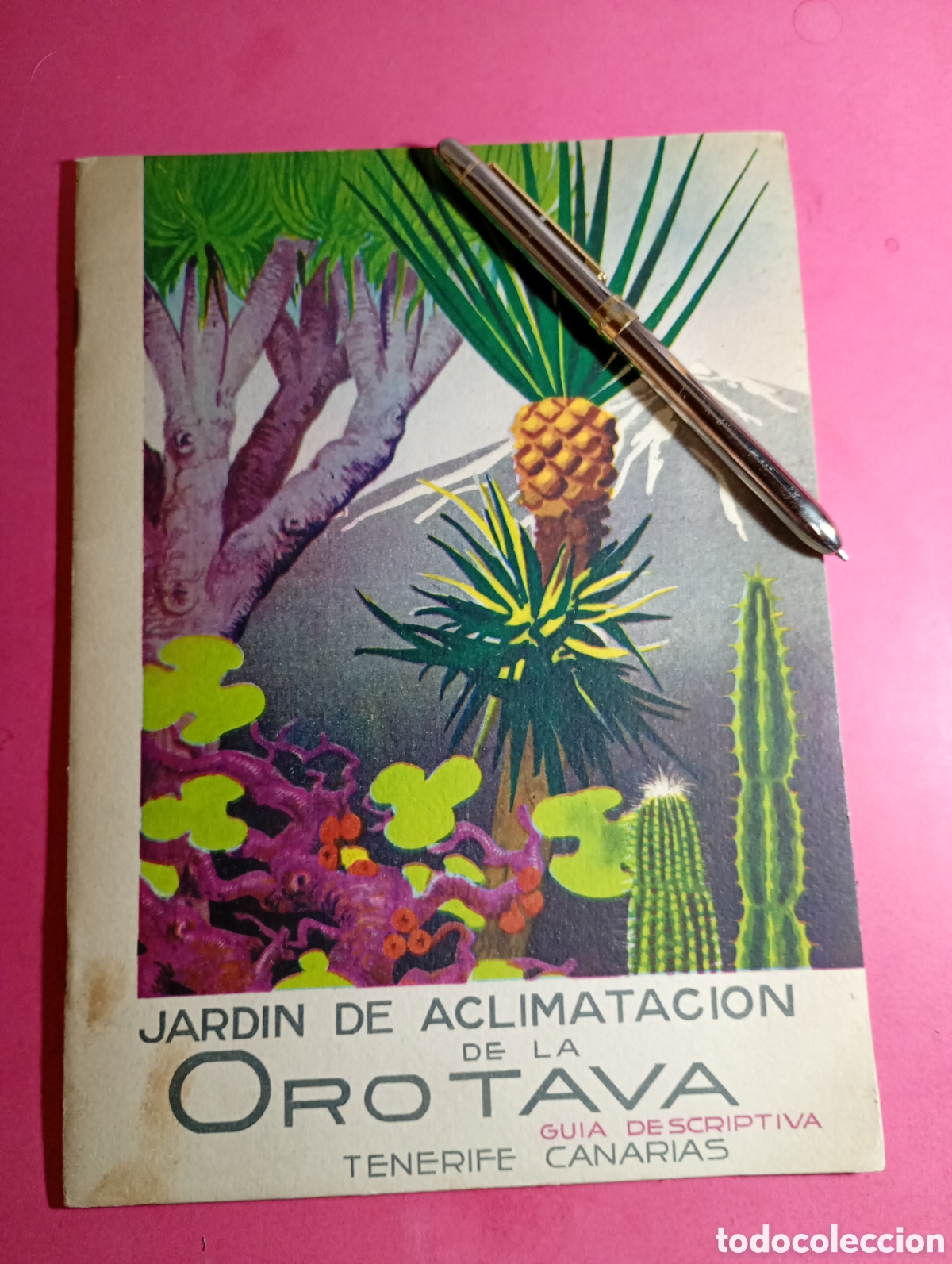 Coleccionismo: TENERIFE CANARIAS GU&Iacute;A DESCRIPTIVA 176 ESPECIES JARD&Iacute;N ACLIMATACI&Oacute;N DE LA OROTAVA CON PLANO