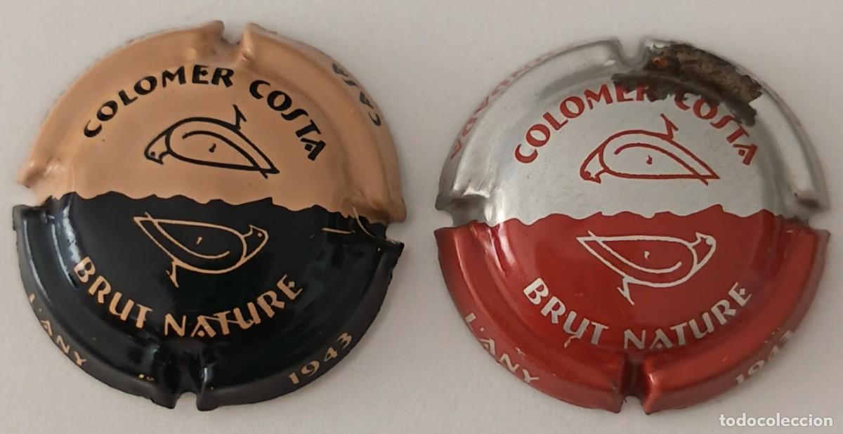 Coleccionismo: 2 Placas Chapa de Cava. Cava Colomer Costa. Brut Nature.