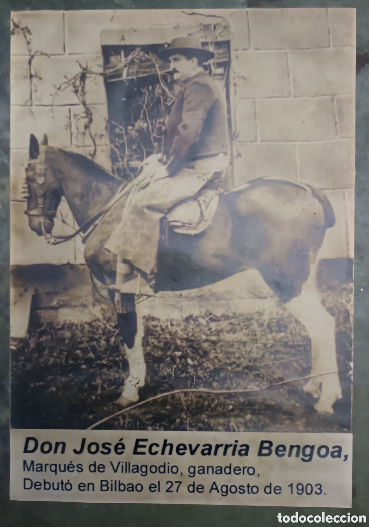 Coleccionismo: Lamina. Don Jos&eacute; Echevarr&iacute;a Bengoa.
