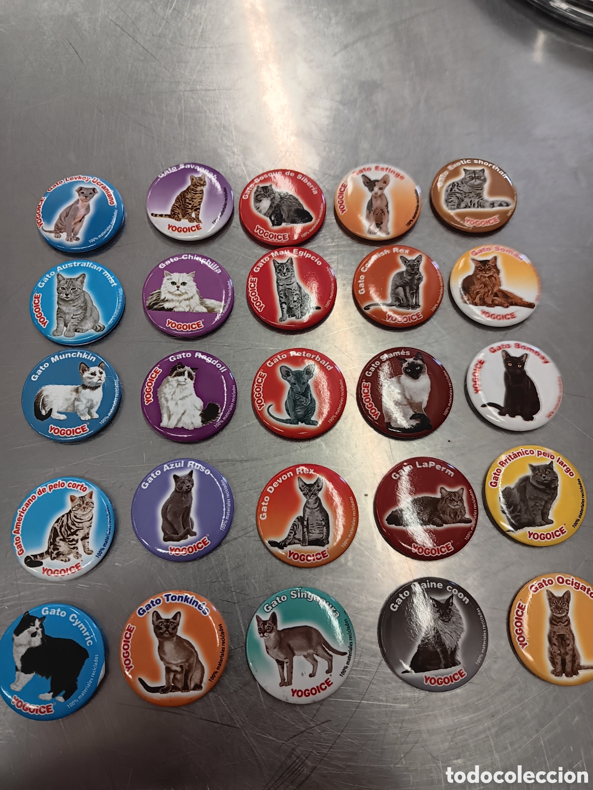 Collezionismo: Lote de 25 imanes de razas de gatos. Tazos