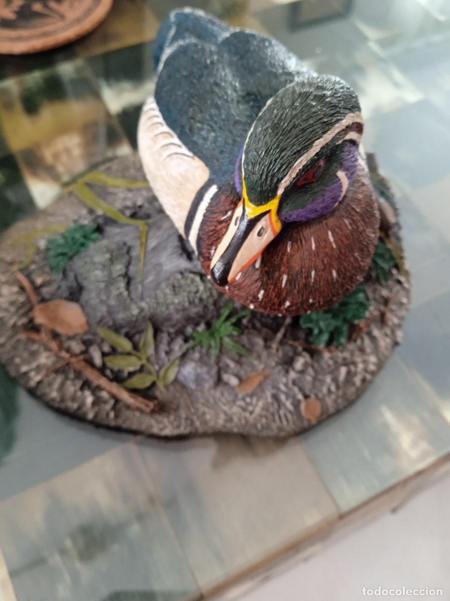 Coleccionismo: Pato en su h&aacute;bitat, pesa 1kg,300