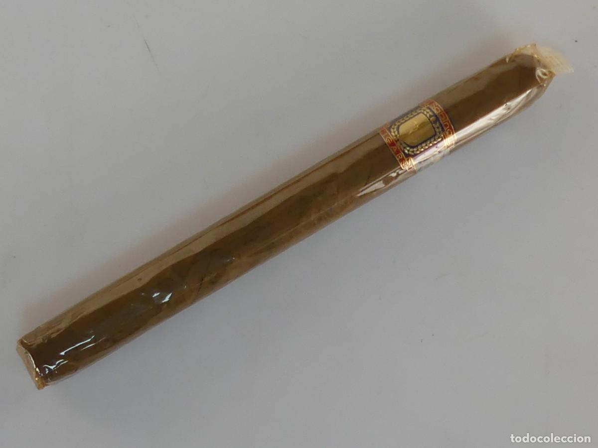 Collectionnisme: PURO EL SABINAR HECHO A MANO MADE IN DOMENICAN REPUBLIC