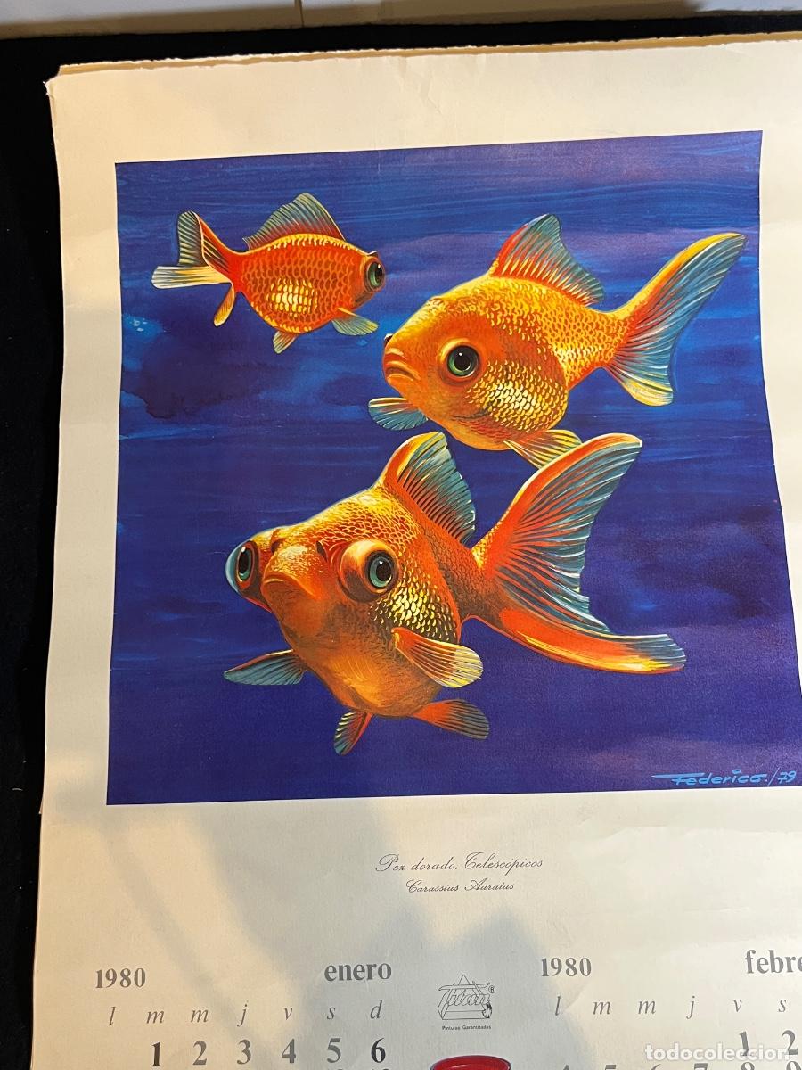 Sammelleidenschaft Papier: Lote 3 calendarios Viladrau 1980 peces dorados Federico 79 l&aacute;minas vintage decoraci&oacute;n