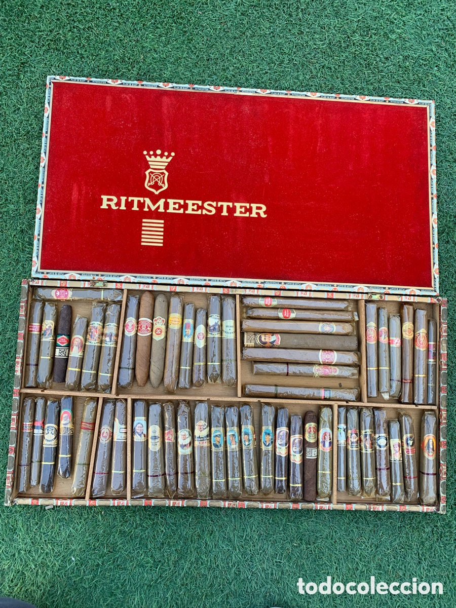 Coleccionismo: &bull; CAJA DE PUTOS RITMEESTER - FLOR DE BUAT - 55 unidades