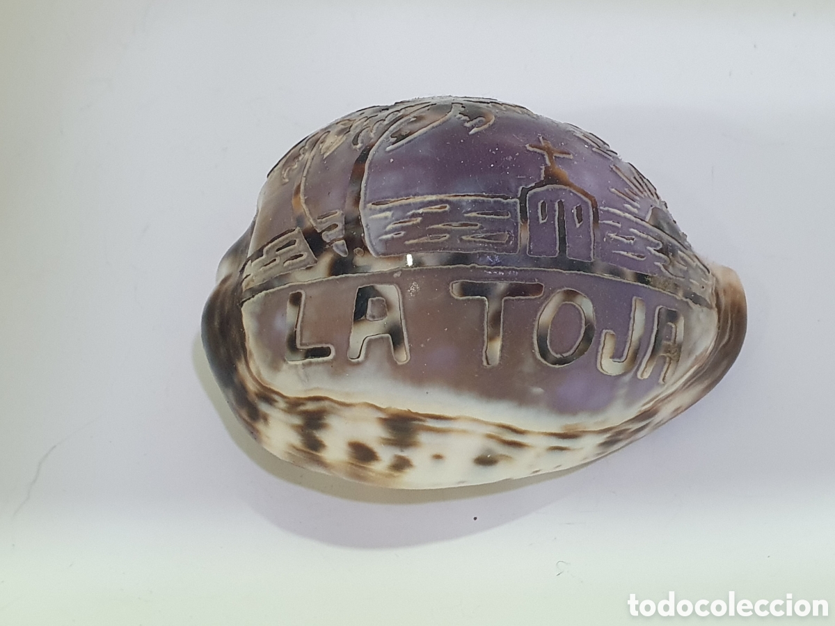 Coleccionismo: Caracola pintada La Toja. (L68)