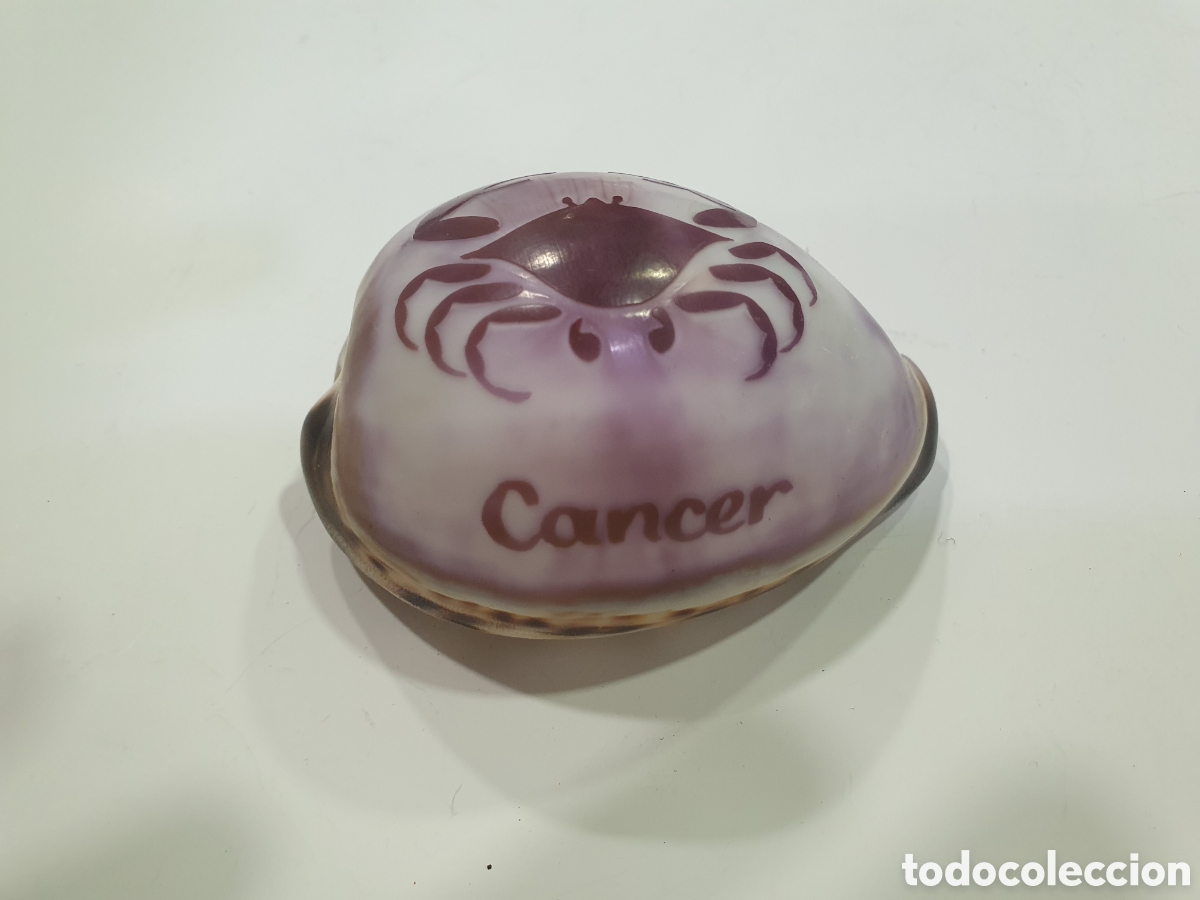 Sammeln: Caracola signo zodiaco C&aacute;ncer. (L68)