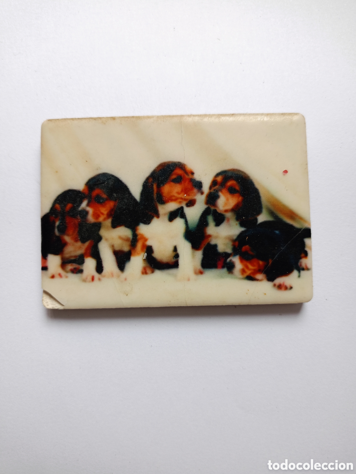 Sammeln: Im&aacute;n de nevera perritos porcelana