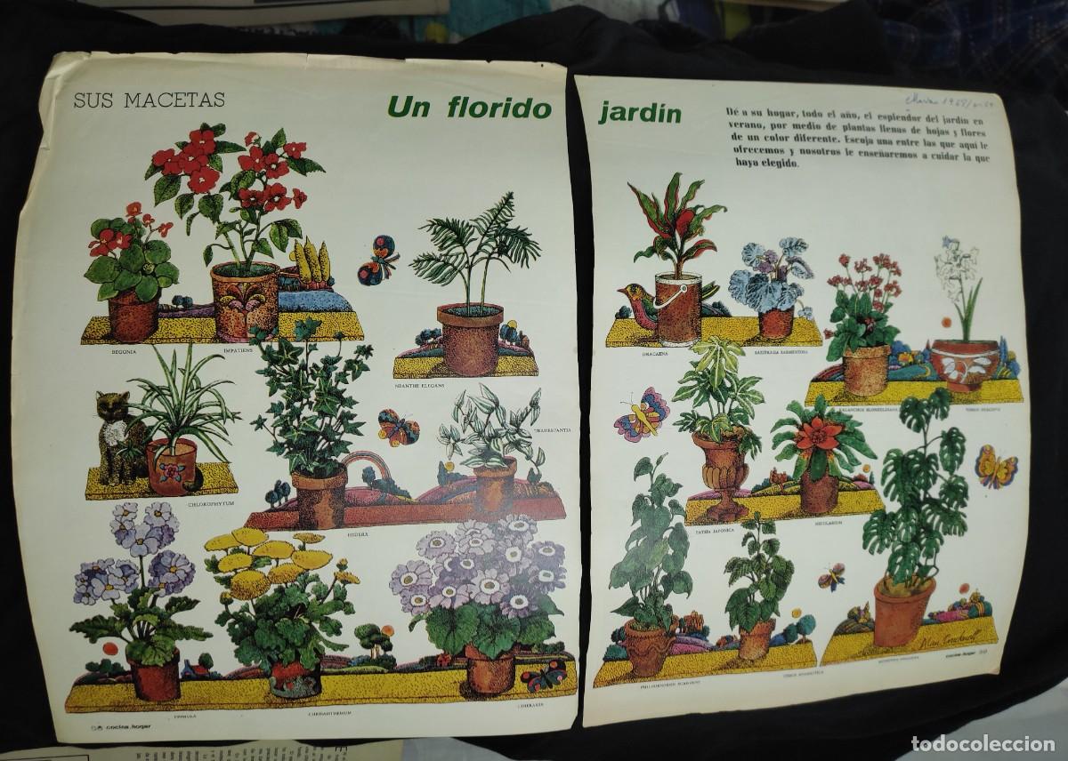 Sammelleidenschaft Papier: 4 paginas revista Cocina y Hogar - marzo 1968 - ideas para tener un florido jardin