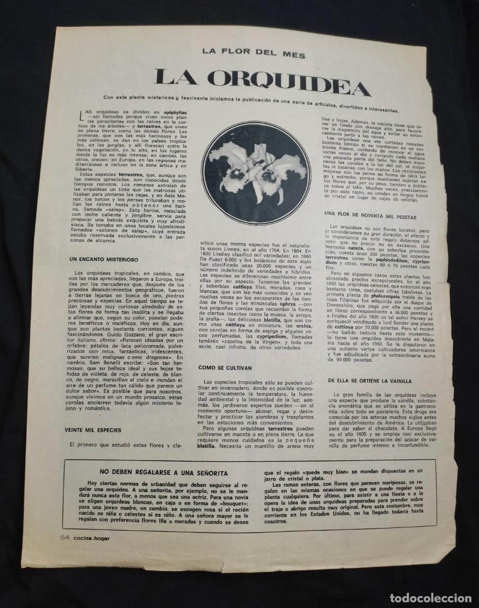Sammelleidenschaft Papier: 9 paginas revista Cocina y hogar - tematica Flores del Mes - a&ntilde;o 1969