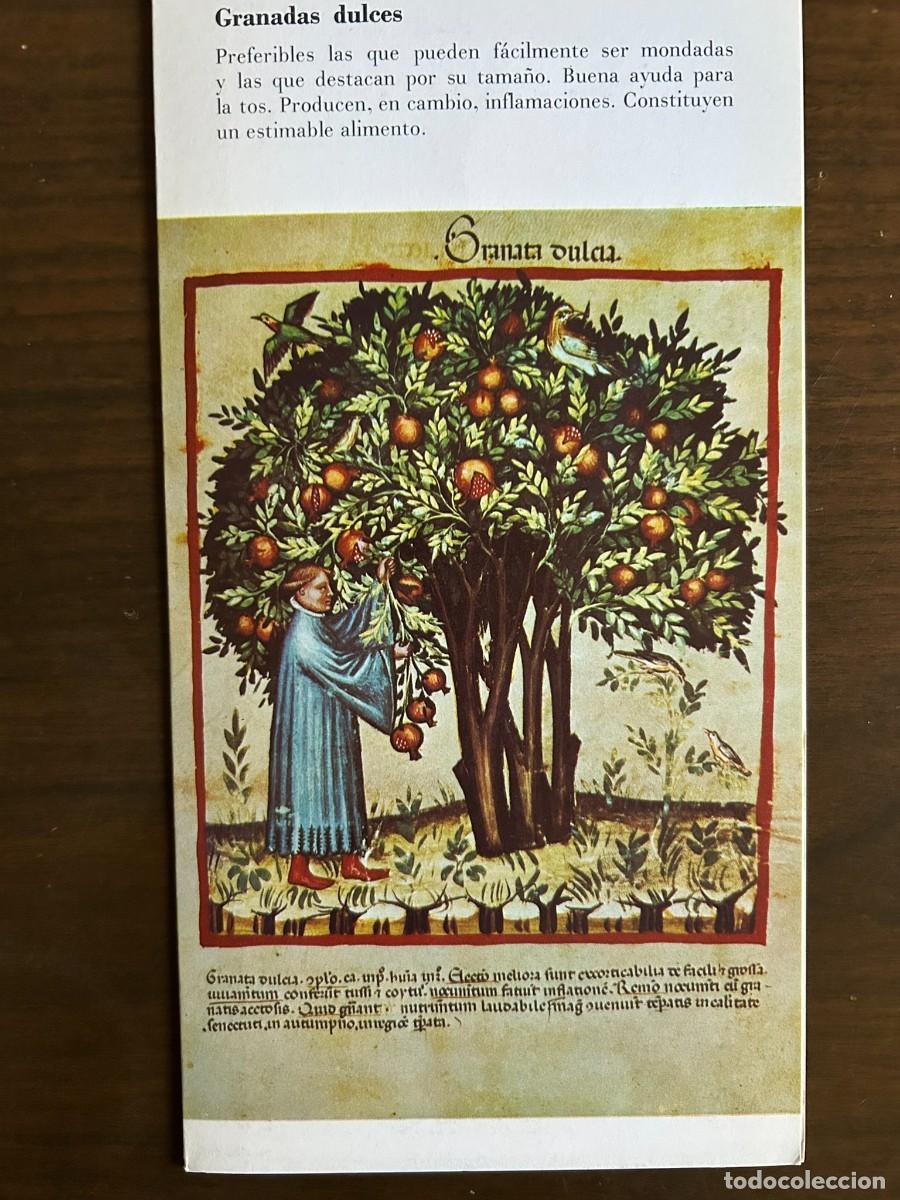 Coleccionismo: GRANADAS DULCES REMEDIO PARA LA TOS - TACUINUM SANITATIS s. XIV - PUBLICIDAD MIELOGEN 1972
