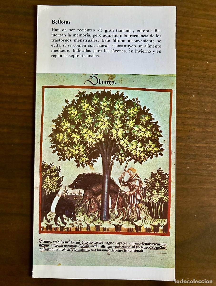 Coleccionismo: BELLOTAS PARA LA MEMORIA - TACUINUM SANITATIS s. XIV - PUBLICIDAD MIELOGEN 1972