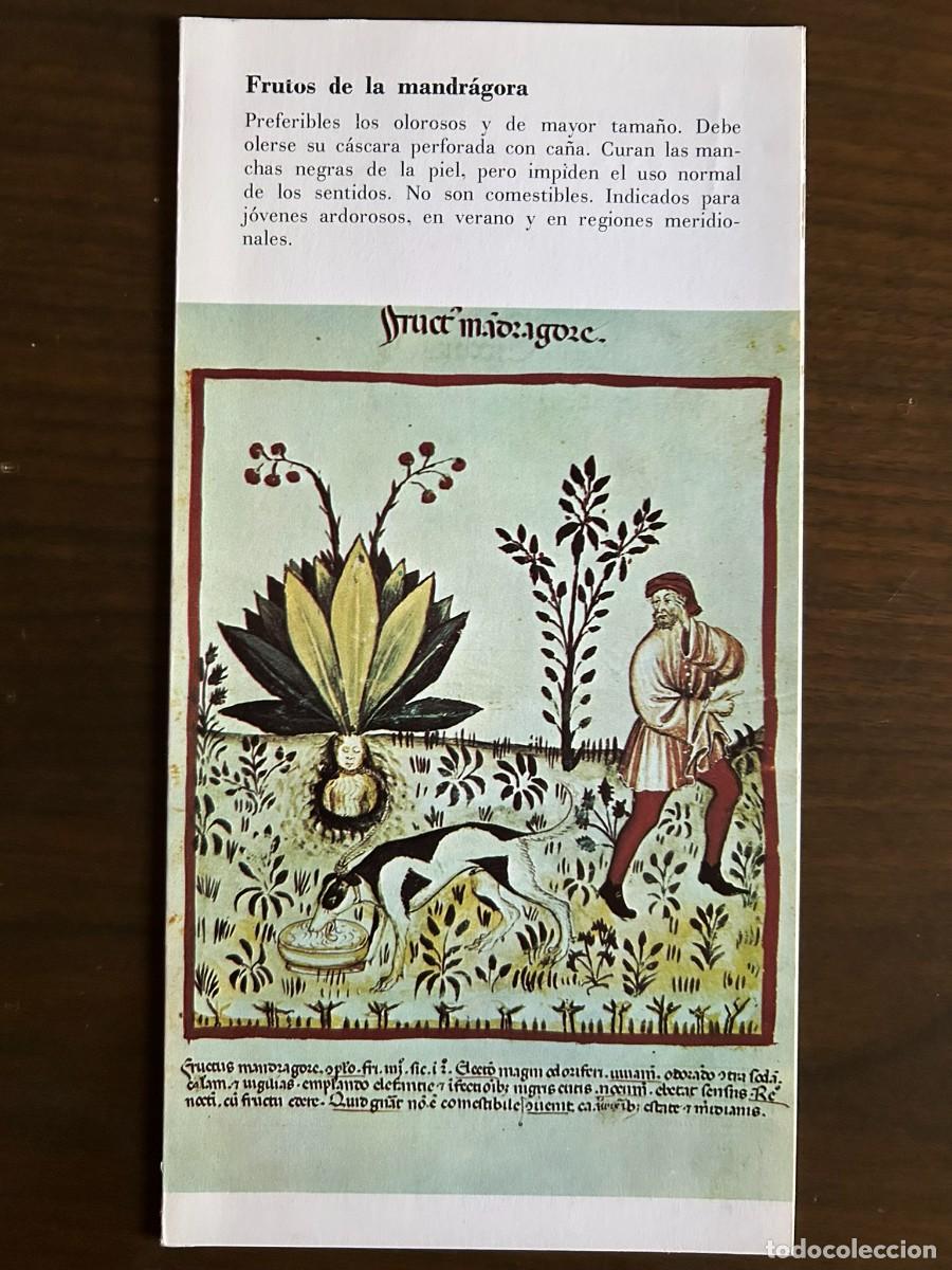 Coleccionismo: FRUTOS DE LA MANDR&Aacute;GORA - TACUINUM SANITATIS s. XIV - PUBLICIDAD MIELOGEN 1972