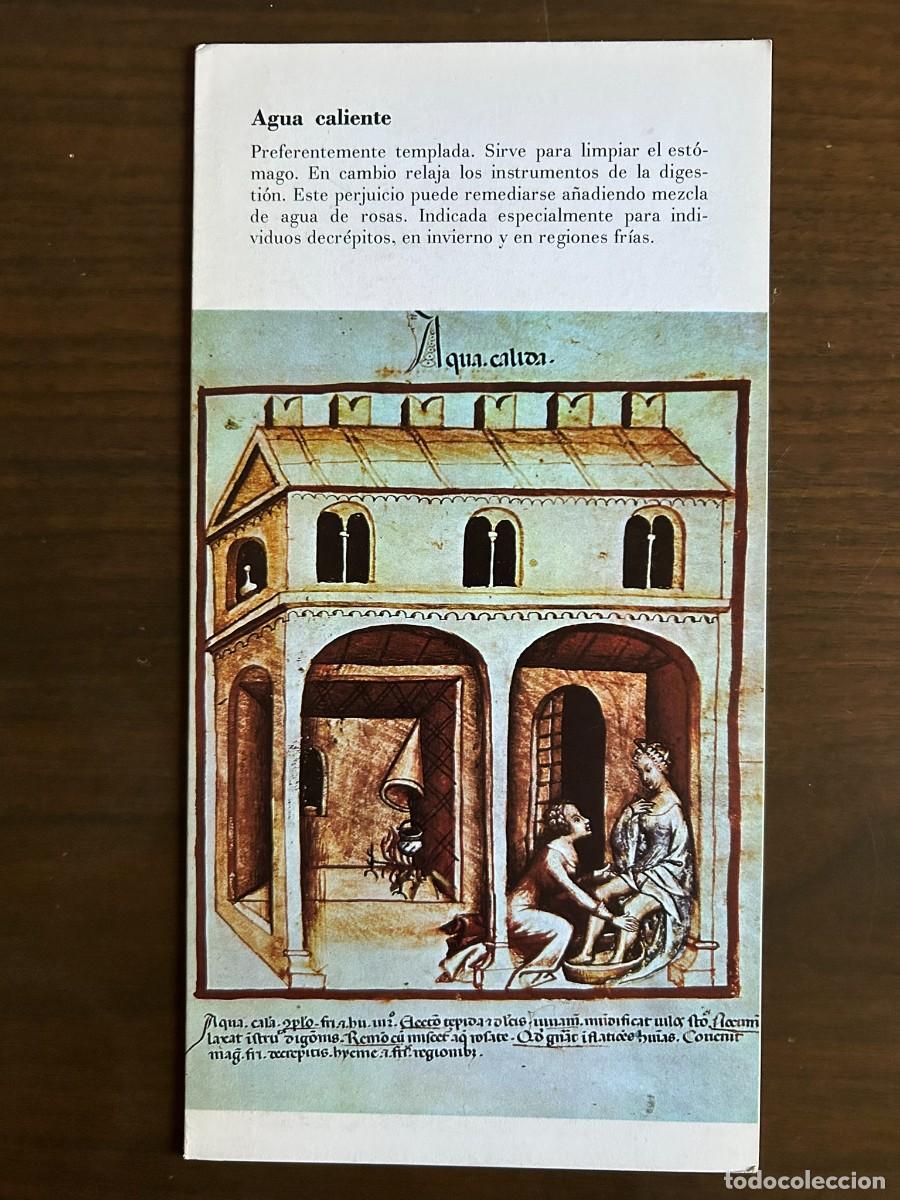 Coleccionismo: AGUA CALIENTE - TACUINUM SANITATIS s. XIV - PUBLICIDAD MIELOGEN 1972
