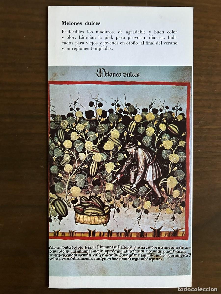 Coleccionismo: MELONES DULCES - TACUINUM SANITATIS s. XIV - PUBLICIDAD MIELOGEN 1972