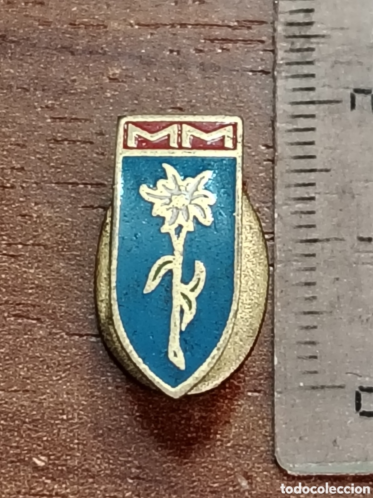 Coleccionismo: Insignia antigua monta&ntilde;ismo