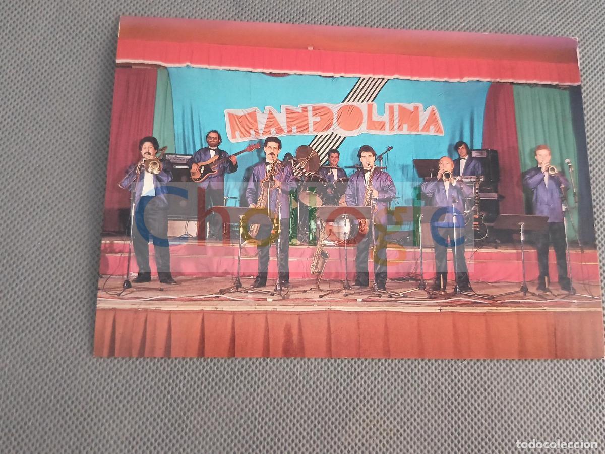 Coleccionismo: MANDOLINA