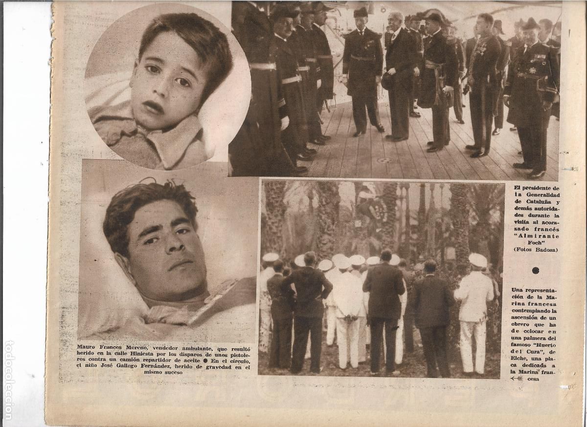 Collecting paper: A&Ntilde;O 1933 RECORTE PRENSA HUERTO DEL CURA ELCHE COLOCACION PLACA MARINA FRANCESA EN UNA PALMERA