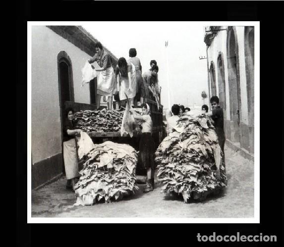 Collectionnisme: �HL5 - [RIVEIRA]. CARGANDO BACALLAO 1944. RIBEIRA. CORU&Ntilde;A. GALICIA. LAMINA FOTOGRAFICA.
