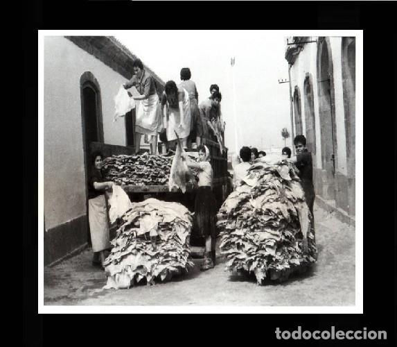 Collezionismo: [RIVEIRA]. CARGANDO BACALLAO 1944. RIBEIRA. CORU&Ntilde;A. GALICIA. LAMINA FOTOGRAFICA.