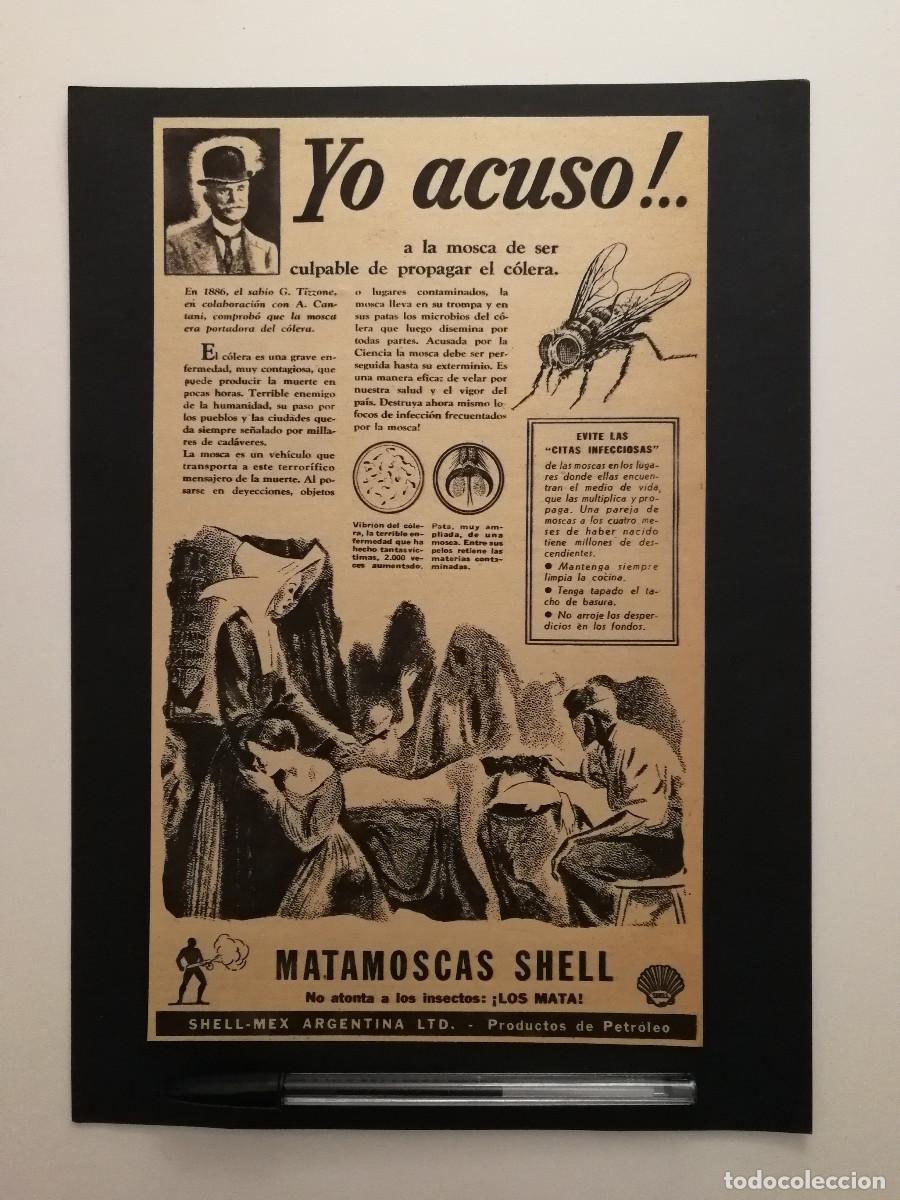 Collecting paper: ANTIGUO ANUNCIO ENCARTONADO -A4- MATAMOSCAS SHELL MOSCA COLERA- PUBLICIDAD LAMINA