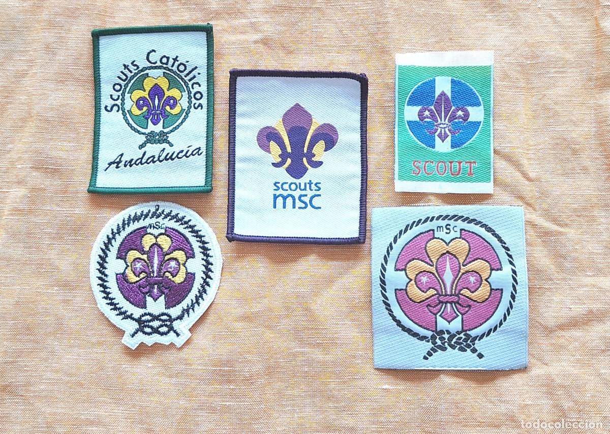 Collectionnisme: MSC 5 PROMESAS: ANDALUCIA, FEDERAL, SCOUT, FEDERAL 1985, PROMESA 1966, PROMESA ANTES 2010,
