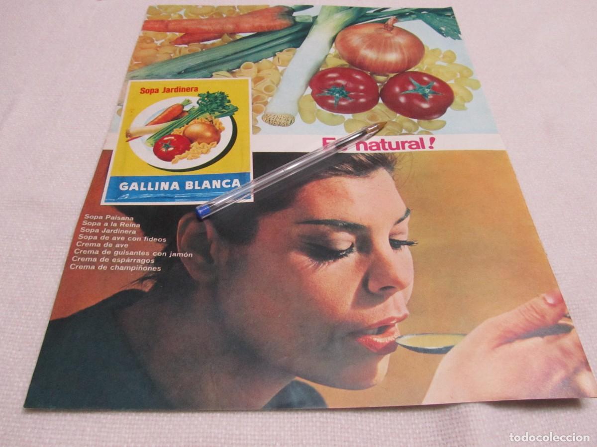 Collectionnisme: PUBLICIDAD GALLINA BLANCA A&Ntilde;OS 60