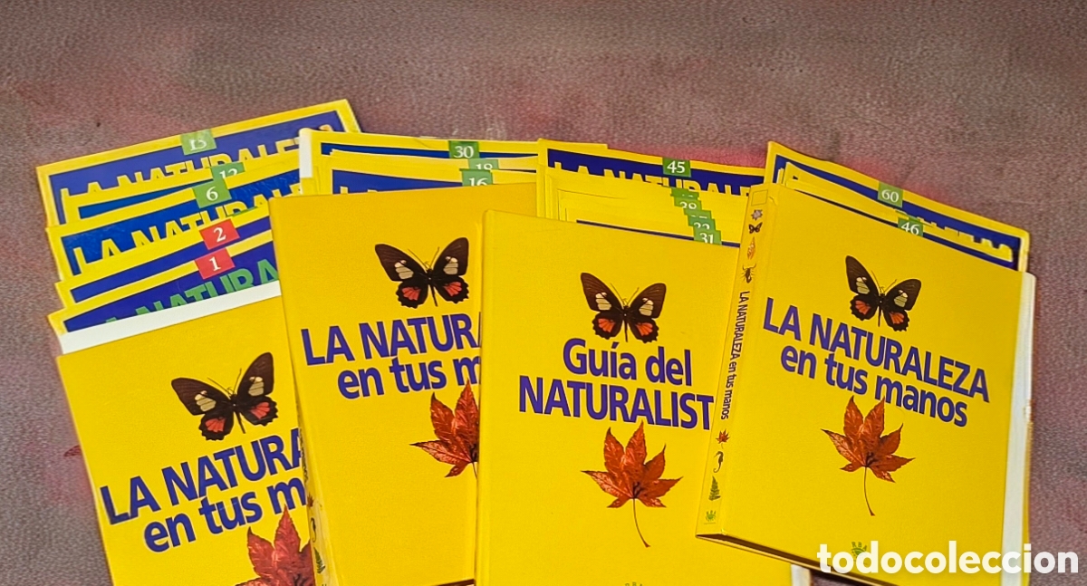 Coleccionismo: La Naturaleza en tus Manos