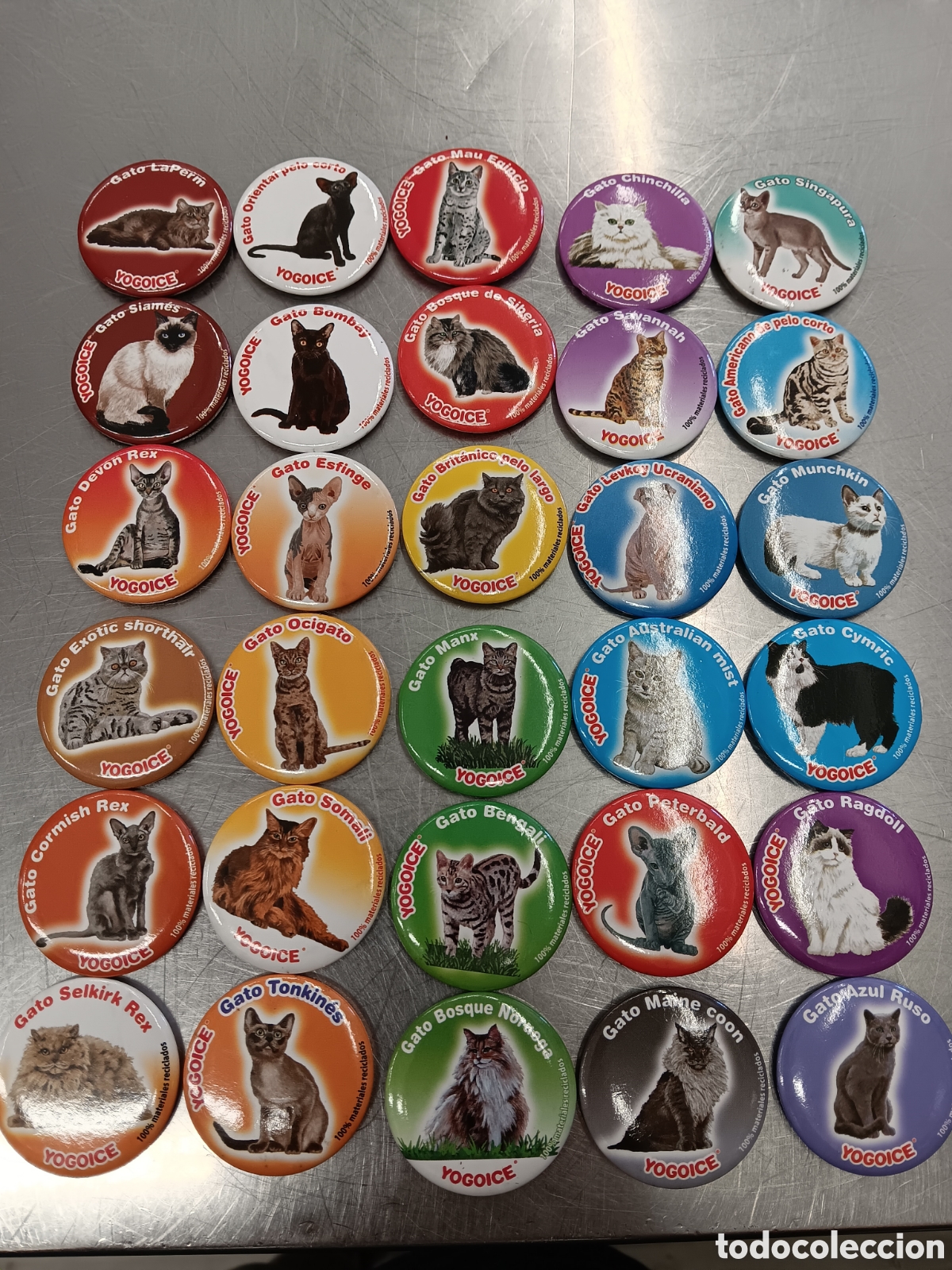 Colecionismo: Lote de 30 imanes de razas de gatos. Tazos, todos diferentes.