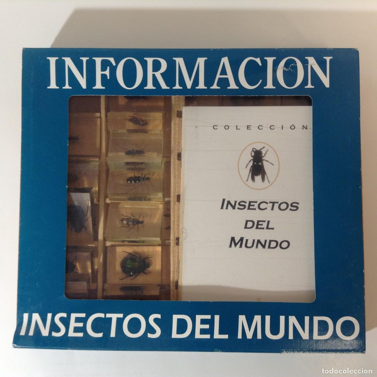 Coleccionismo: COLECCION INSECTOS DEL MUNDO - 30 INSECTOS EN DE METACRILATO Y CAJA DE MADERA + CATALOGO Y FOLLETO.