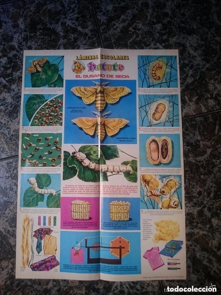 Coleccionismo: LAMINA ESCOLAR DE EL LIBRO GORDO DE PETETE - EL GUSANO DE SEDA
