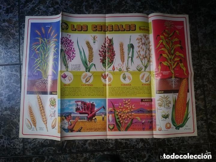 Coleccionismo: LAMINA ESCOLAR DE EL LIBRO GORDO DE PETETE - LOS CEREALES