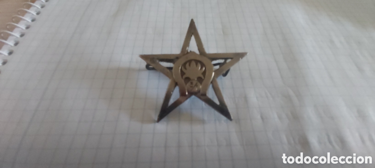 Coleccionismo: LEGION EXTRANJERA CABALLERIA. INSIGNIA 3&deg;ESCUADRON .1&deg; REGIMIENTO