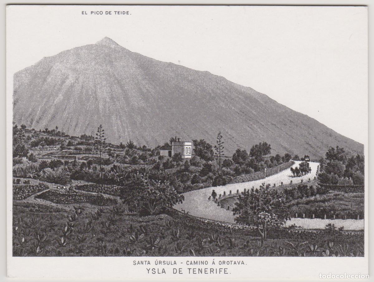 Coleccionismo: LAMINA - YSLA DE TENERIFE - SANTA URSULA - CAMINO A OROTAVA