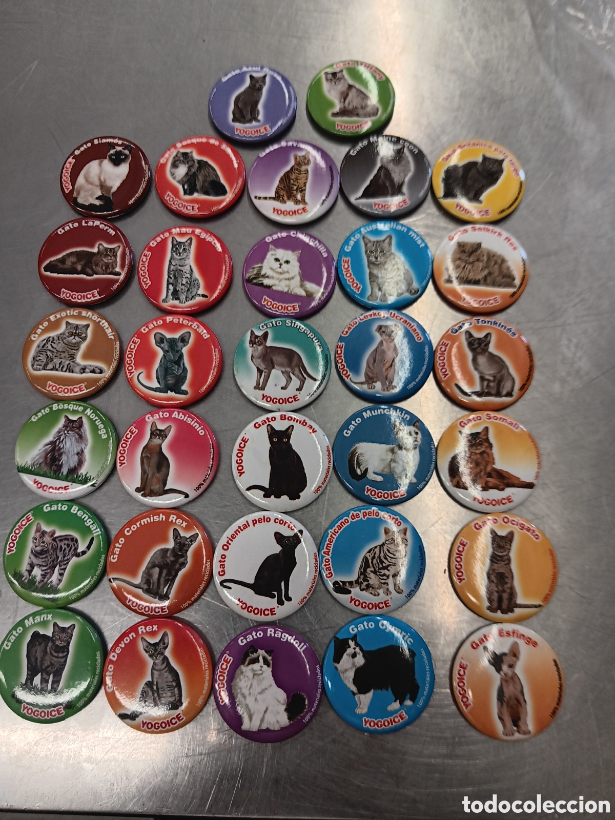 Coleccionismo: Lote de 32 imanes de razas de gatos. Tazos, todos diferentes.