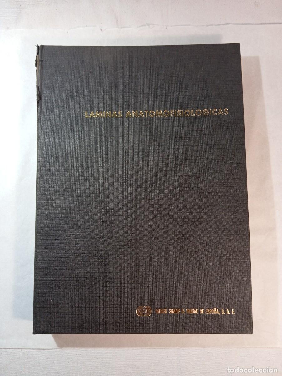 Coleccionismo: Carpeta de L&aacute;minas Anatomofisiol&oacute;gicas. Merck Sharp & Dohme (MSD) Espa&ntilde;a. Completo Ilustrado