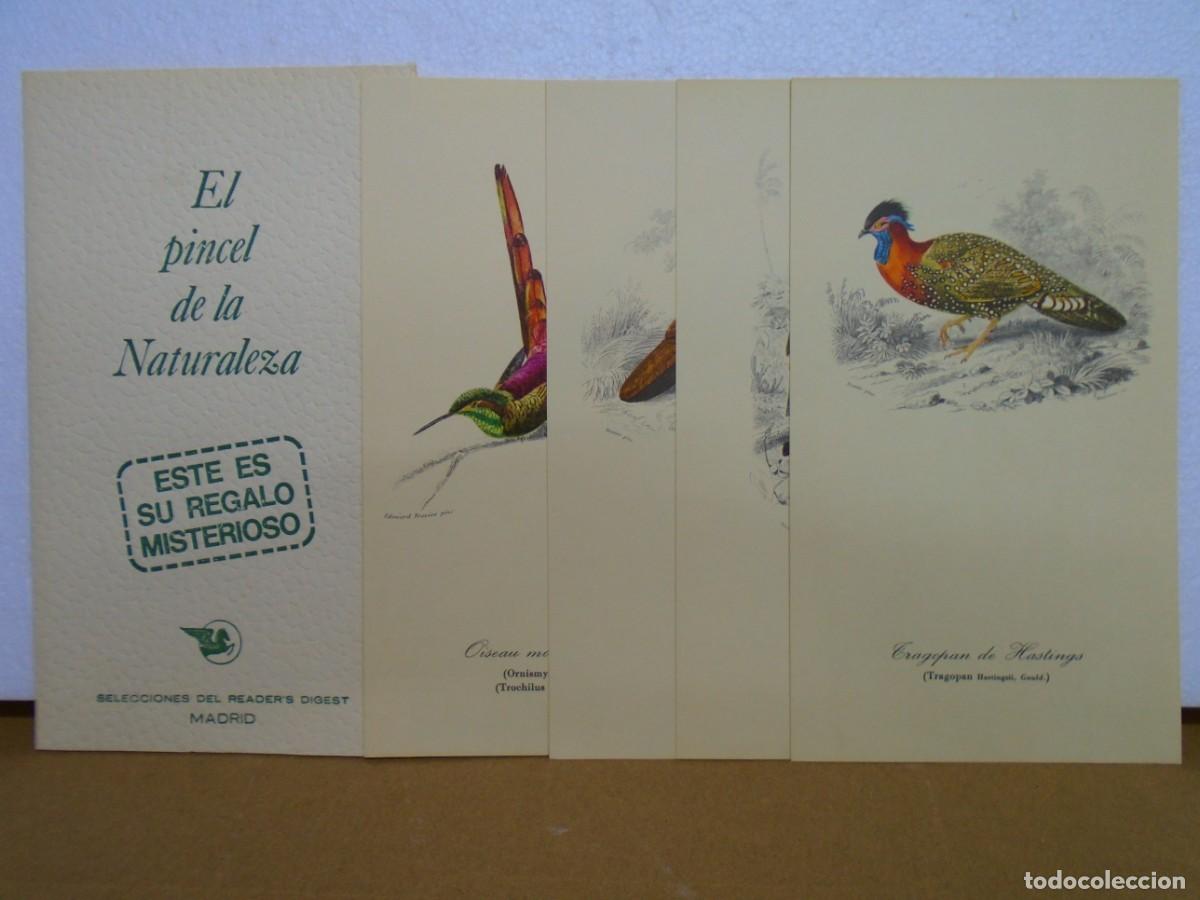 Sammelleidenschaft Papier: SELECCIONES DEL READER&acute;S DIGEST.CARPETA CON 4 REPRODUCCIONES DE GRABADOS EL PINCEL DE LA NATURALEZA.