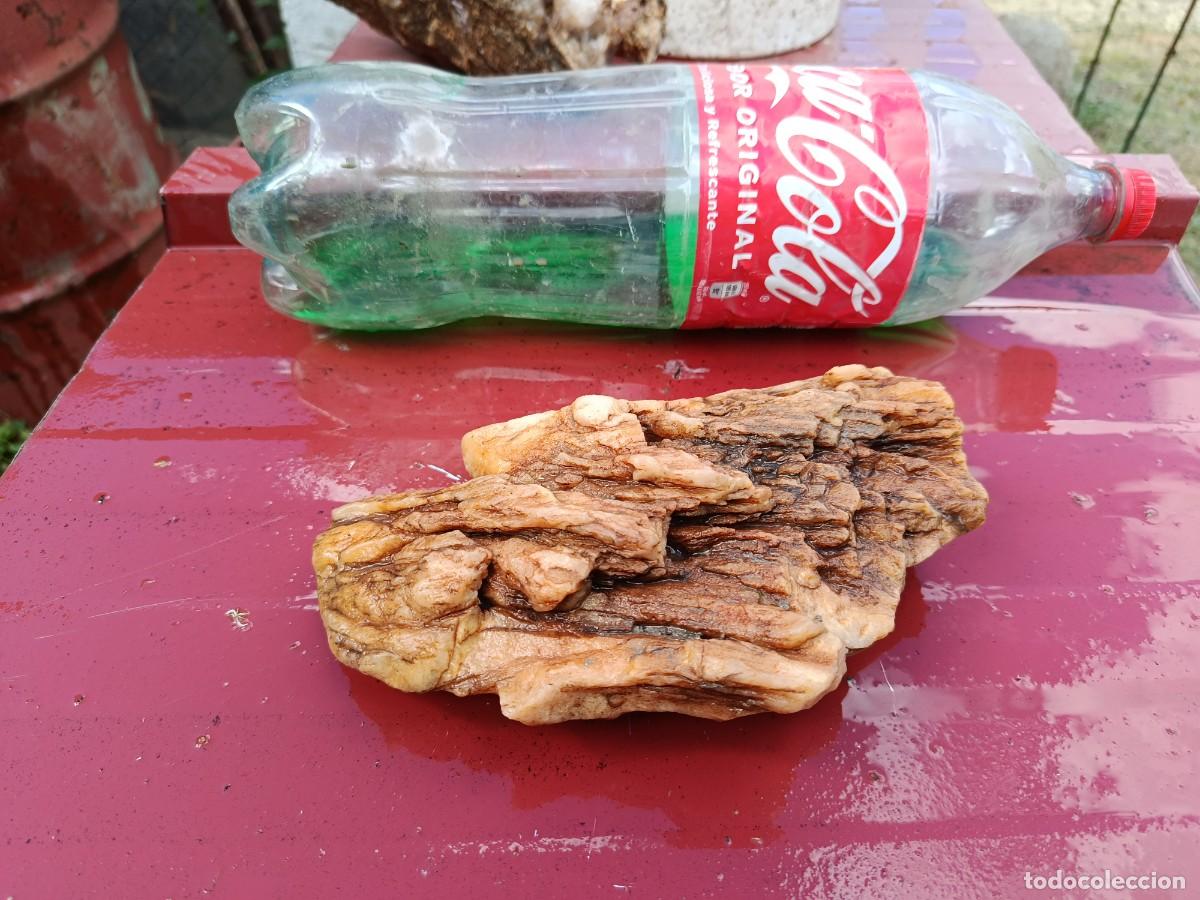 Coleccionismo: piedra para colecci&oacute;n - Foto 1
