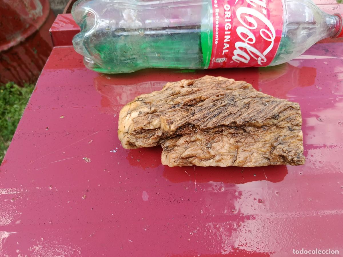 Coleccionismo: piedra para colecci&oacute;n - Foto 2