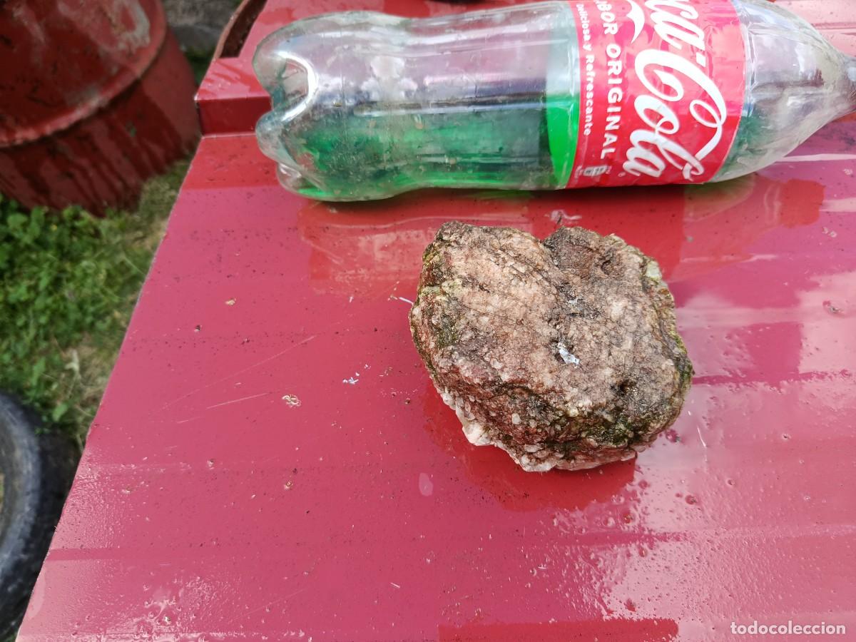 Coleccionismo: piedra para colecci&oacute;n - Foto 2