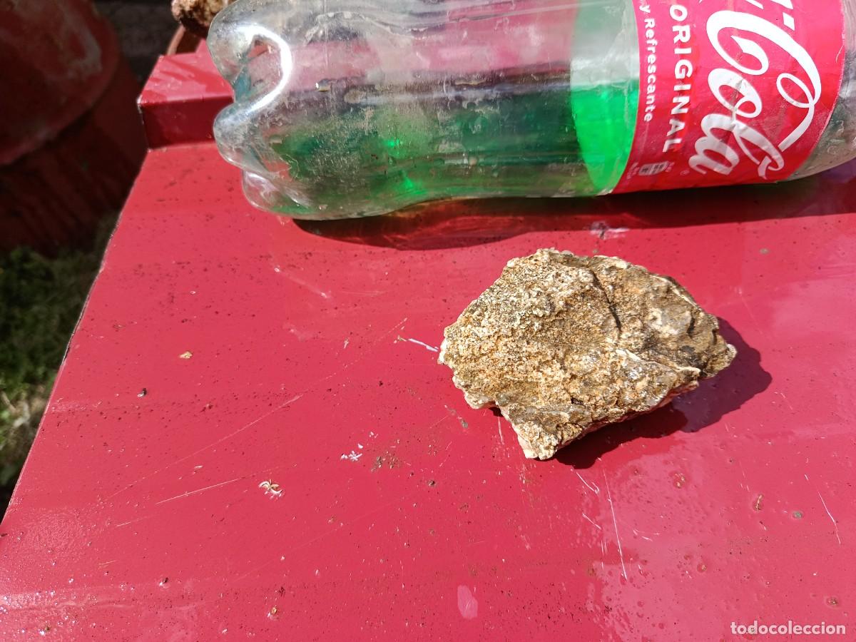 Coleccionismo: piedra para colecci&oacute;n - Foto 4