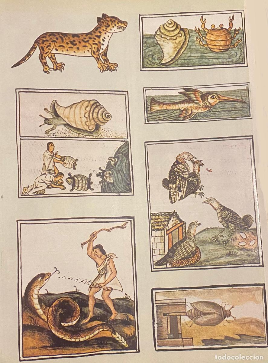 Colecionismo: L&aacute;mina art&iacute;stica. Dibujos precolombinos estilo maya, inca o azteca. Tama&ntilde;o folio. Enmarcable. Nuevo.