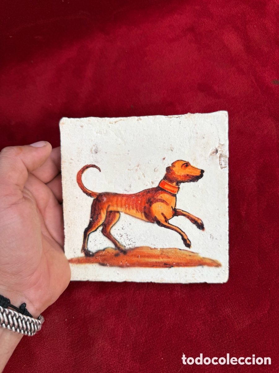 Coleccionismo: Bonita baldosa-placa de terracota,Un perrito!