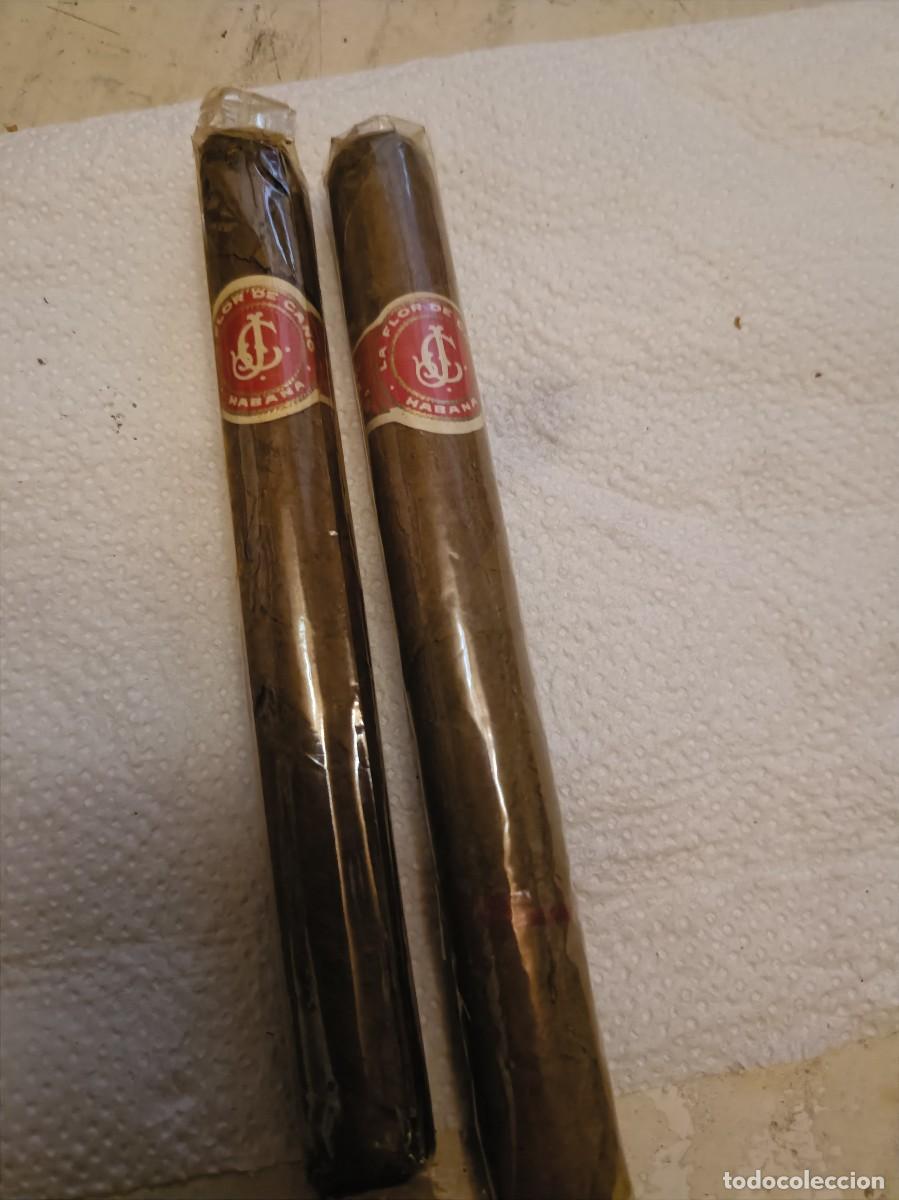 Coleccionismo: LOTE 2 PUROS LA FLOR DE CANO CIGARROS