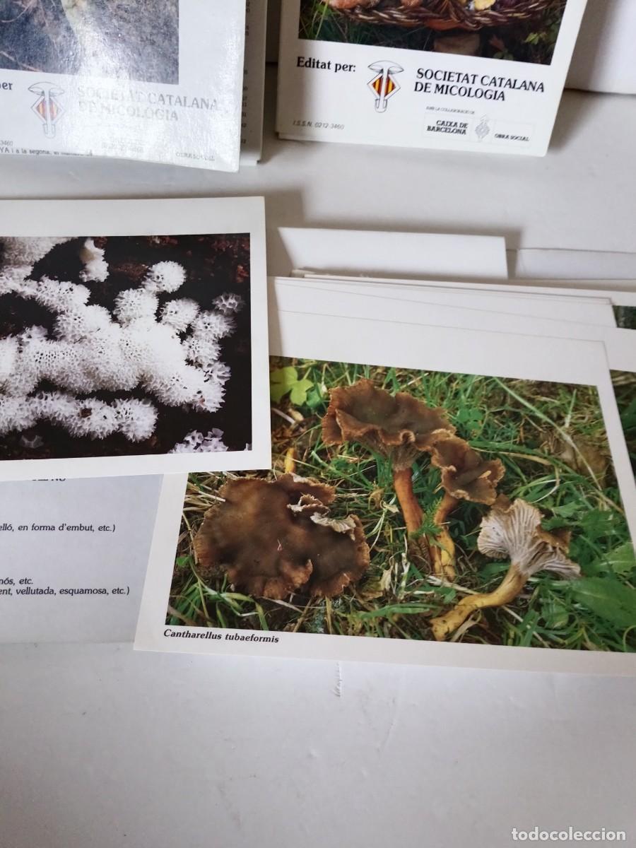 Coleccionismo: Bolets de Catalunya Tres tomos - Foto 9