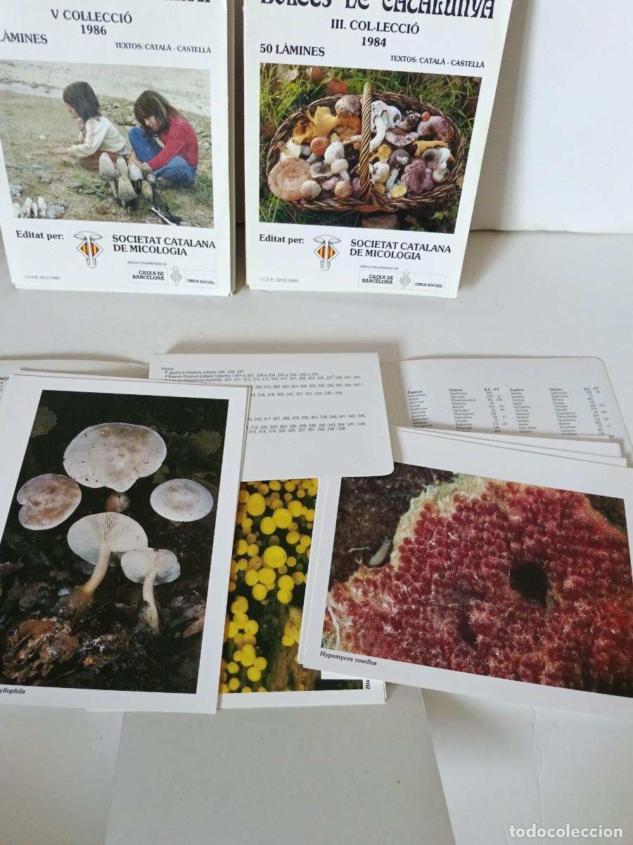 Coleccionismo: Bolets de Catalunya Tres tomos - Foto 11
