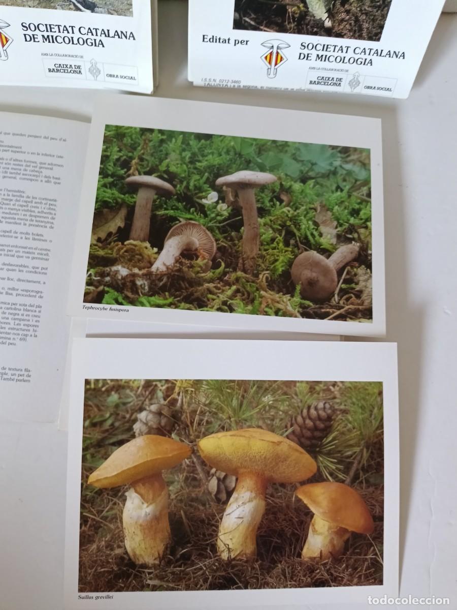Coleccionismo: Bolets de Catalunya Tres tomos - Foto 12
