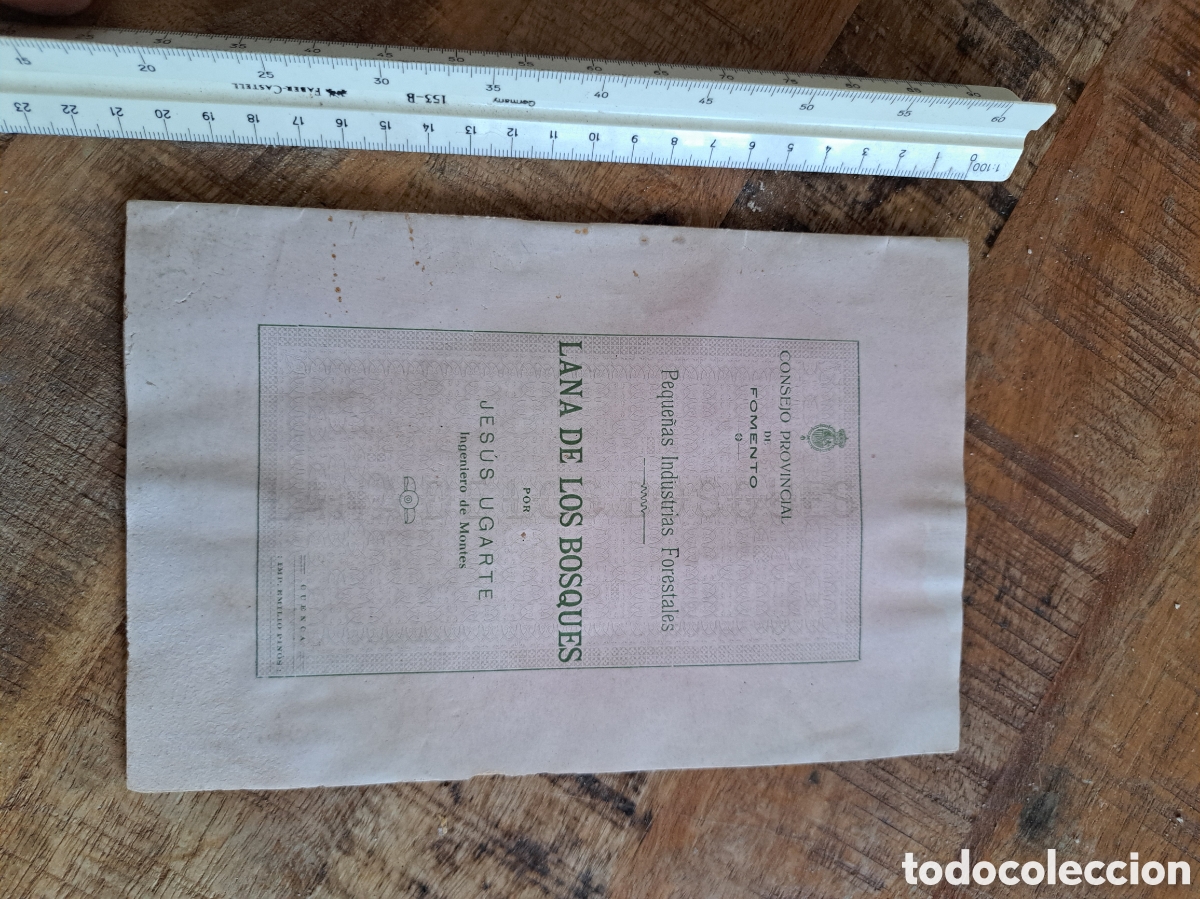 Coleccionismo: Jml Lana de los Bosques Jes&uacute;s Ugarte ingeniero montes. Consejo provincial Fomento A&ntilde;o 1916. Forestal