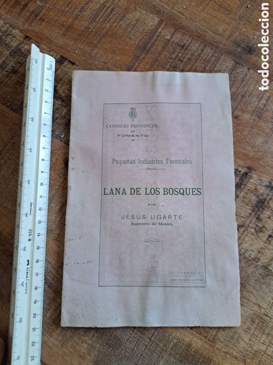 Coleccionismo: Jml Lana de los Bosques Jes&uacute;s Ugarte ingeniero montes. Consejo provincial Fomento A&ntilde;o 1916. Forestal